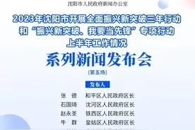 锚定目标，奋力拼搏！今年上半年，沈阳和平、沈河、铁西、皇姑、大东实现这些新突破图片