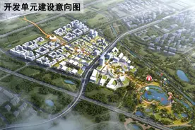 1255.2亩！西部科技创新港二期最新规划公示，将新增一个生态小镇图片