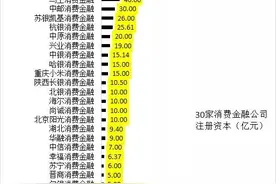 起底蚂蚁消金图片