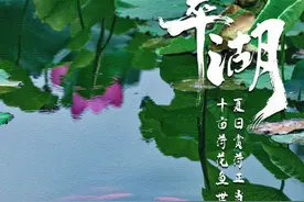 翠湖：十亩荷花鱼世界 夏日赏荷正当时图片