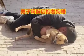 男子醉酒把狗当女友，当街按倒抱着睡，小狗紧紧夹住尾巴一脸无辜图片
