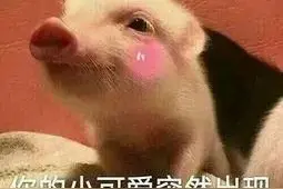 谁还不是一个小可爱了~图片