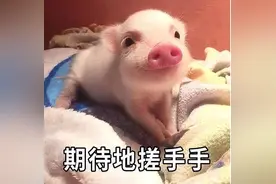 大家关心的「荨麻疹的分类和治疗」问题，都回复在这里了图片