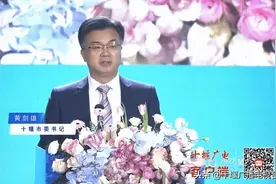 2022楚商年会给十堰留下什么⑤丨2025年“十堰造”新能源汽车力争达到28万辆以上图片