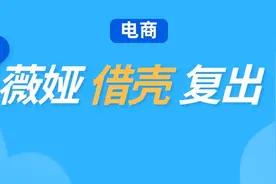 弘辽科技：薇娅借壳复出图片