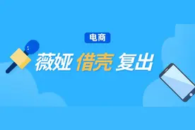 弘辽科技：薇娅借壳复出图片