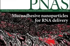 药学院谢恬教授团队开创榄香烯mRNA药物配伍治疗肿瘤新型疗法，研究成果以封面文章在PNAS上发表图片