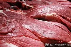 哈萨克斯坦可能成为世界牛肉生产的领导者图片
