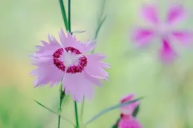不经常换微信头像的女人，往往是这三种性格，很厉害图片