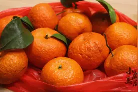 今天才知道，把橘子皮装进塑料瓶，作用真厉害，一年省下几百块图片