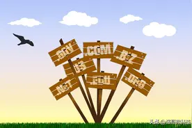 不用的域名未注销被非法利用，成了别人的“温床”图片