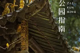 免费开放！这几个“老牌公园”，才是盘龙网红打卡地的“鼻祖”图片