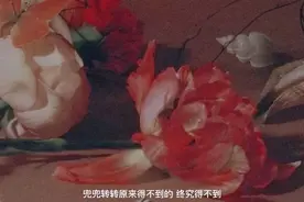 猝不及防的心动，从一开始就覆水难收图片
