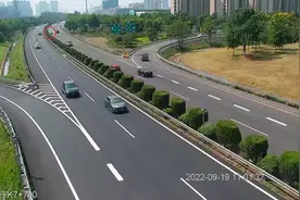 司机尿急高速停车，处罚200记9分图片