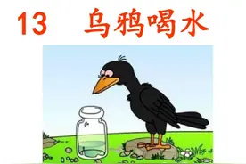一年级（上）13课文《乌鸦喝水》图片