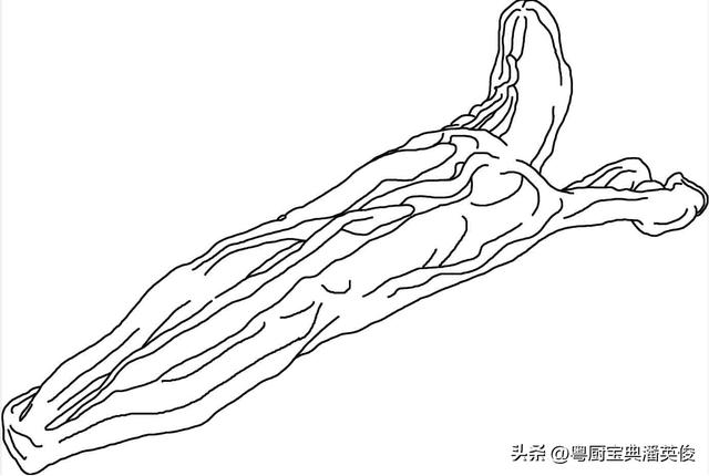 花胶和阿胶的区别 2026年花胶和阿胶的区别在哪里