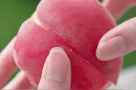 劝你吃「桃子」的理由，这两个就够了图片