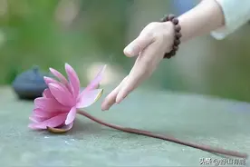 做人显摆必惹祸，在这些事上学会“低头”，才能闷声发财图片