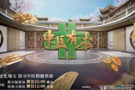 大脑“罢工”了怎么办？本期《中医有术》为您答疑解惑图片