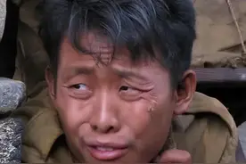以为是假新闻，其实是真新闻，从张译到撒贝宁，个个离谱又惊人图片