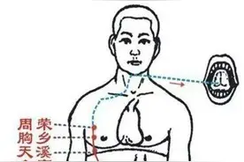 玫子科普：十二经脉，足太阴脾经——滋阴养血，百病不生图片