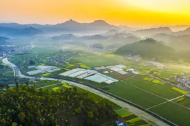 麦田上的朝霞氛围感拉满图片