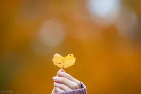 结婚多年，公婆偏心，老公愚孝，好在他醒悟了，妻女可以不用离开图片