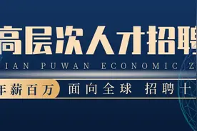 大连普湾经济区国有企业高层次人才公开招聘公告图片