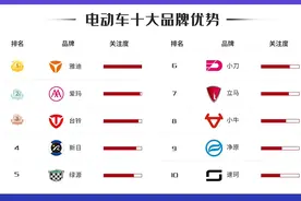 品牌电动车为什么比杂牌电动车贵很多？贵在哪里？行内人告诉你图片