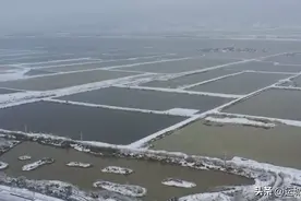 盐湖初雪|雪花纷飞舞翩迁 万物润育迎新年图片