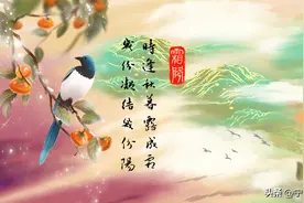 手绘二十四节气「霜降」｜但请“用心”，生活一定不会辜负你图片