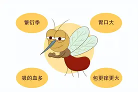 蚊子在地球上有什么用，为什么不通过基因手段将其全部消灭图片