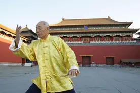 传统武术中的提纵术图片