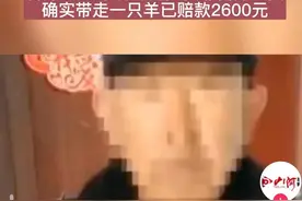 羊被抓走做核酸，然后羊不见了，能一赔了之吗？可能涉嫌以下罪名图片