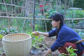 李子柒的田园生活，一般人根本受不了图片