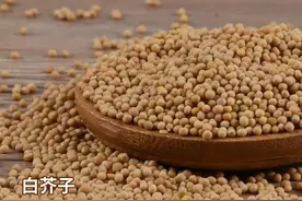 每天学习一味中药——白芥子图片