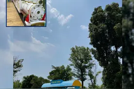 温江治愈系小火车发车！怎么拍照最好看？图片
