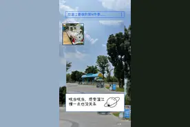 温江治愈系小火车发车！怎么拍照最好看？图片