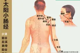 手太阳小肠经经穴分寸歌诀图片