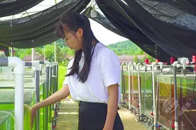 「“三八”节特辑」最美人物 | 田淑娴：心有一片海 深耕待春来图片
