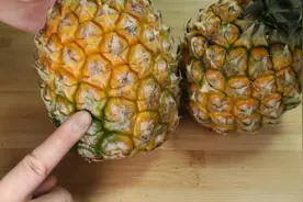 菠萝甜不甜？看一眼这个地方，一挑一个准，老果农的方法真管用图片