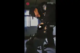 相伴12年，合肥一退休民警把退役警犬接回了家图片