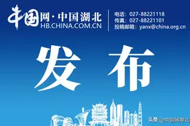 最新！刘洁当选为黄冈市人民政府市长（图|简历）图片