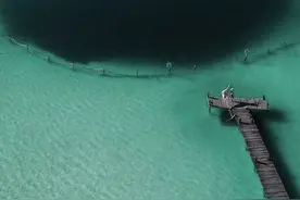 国外网友的深海恐惧症板块，不敢看，不敢看图片