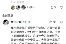 来来来，小雨关注熊猫的铁粉们，咱们来找不同图片