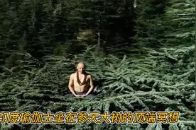印度瑜伽士坐在50米高的大树顶端冥想，电视台全程直播图片