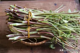 春天，抓紧吃这菜，鲜嫩爽口，营养极高，这样炒一炒真香图片