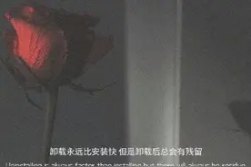 情绪文案｜“幸无所爱，无惧山海”图片