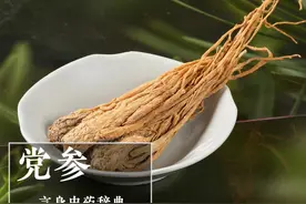 党参（补气药）图片