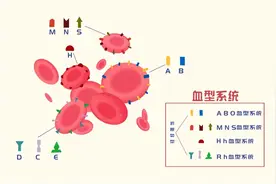 熊猫血妈妈注射的抗D免疫球蛋白究竟是什么图片